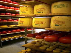 Alexandrina Cheese Company - Sunshine Coast Guide 0