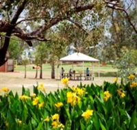 Charleville - Graham Andrews Parklands - Sunshine Coast Guide