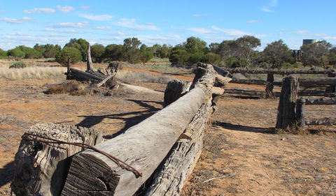 Zanci Pastoral Loop - Sunshine Coast Guide 0