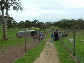 Avenue Range ACT Sunshine Coast Guide