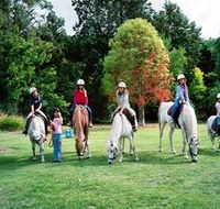 Limestone Coast Horseriding - Sunshine Coast Guide