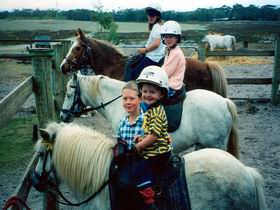 Limestone Coast Horseriding - Sunshine Coast Guide 1