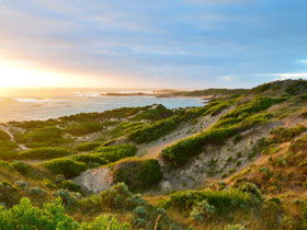Beachport Conservation Park - Sunshine Coast Guide 0