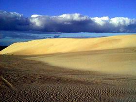 Beachport Conservation Park - Sunshine Coast Guide 1