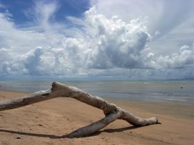 Toolakea QLD Sunshine Coast Guide