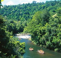 Tully Gorge National Park - Sunshine Coast Guide