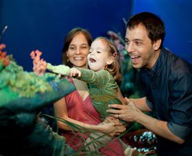 Museum Of Tropical Queensland - Sunshine Coast Guide 2