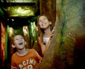 Museum Of Tropical Queensland - Sunshine Coast Guide 1