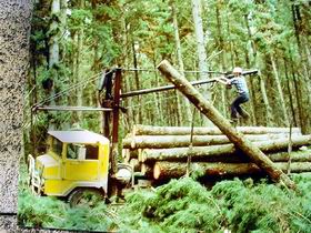 Nangwarry Forestry And Logging Museum - Sunshine Coast Guide 3