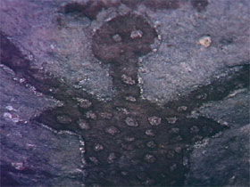 Quinkan Reserves Ancient Rock Art - Sunshine Coast Guide 0