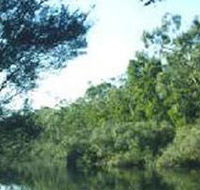 Crawford River Regional Park - Sunshine Coast Guide