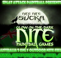 Nite Paintball Games Moama - Sunshine Coast Guide