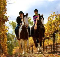 Billabong Ranch - Sunshine Coast Guide