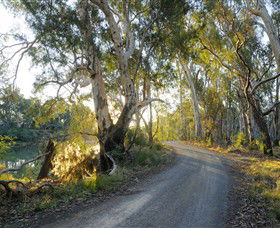 Alton Gallery - Echuca Moama Artists - Sunshine Coast Guide 0