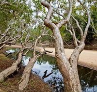 Oyala Thumotang National Park CYPAL - Sunshine Coast Guide