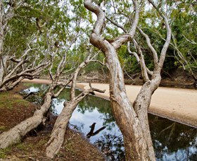 Oyala Thumotang National Park (CYPAL) - Sunshine Coast Guide 0