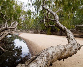Oyala Thumotang National Park (CYPAL) - Sunshine Coast Guide 3