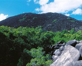 Black Mountain (Kalkajaka) National Park - Sunshine Coast Guide 0