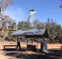 Pilliga Forest Lookout Tower - Sunshine Coast Guide