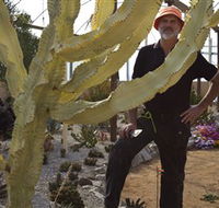 Cactus Country - Sunshine Coast Guide