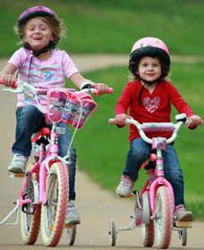 Tracker Riley Cycleway - Sunshine Coast Guide 1
