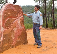 Sculptures in the Scrub walking track - Sunshine Coast Guide