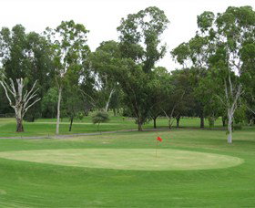 Moree Golf Club - Sunshine Coast Guide 0