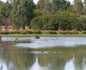 Gillieston ACT Sunshine Coast Guide