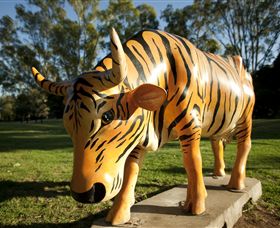 Greater Shepparton's Moooving Art - Sunshine Coast Guide 1