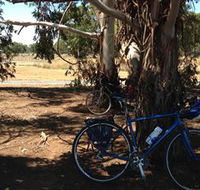 Murchison Rail Trail - Sunshine Coast Guide
