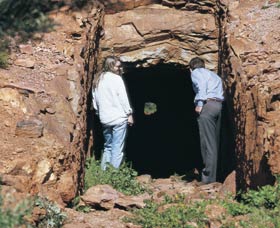 Yalgoo ACT Sunshine Coast Guide