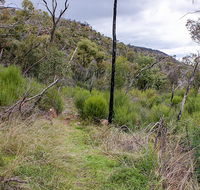Lynchs loop trail - Sunshine Coast Guide