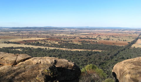 Basin Gully To Eualdrie Lookout Track - Sunshine Coast Guide 0