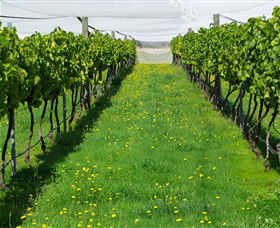 Paramoor Winery - Sunshine Coast Guide 6