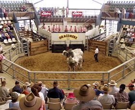 Gracemere Exhibition Complex - Sunshine Coast Guide 1