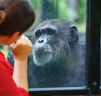 The Rockhampton Zoo - Sunshine Coast Guide