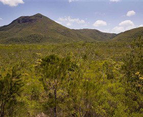 Kutini-Payamu (Iron Range) National Park (CYPAL) - Sunshine Coast Guide 0