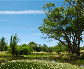 Wirraminna Environmental Education Centre - Sunshine Coast Guide 0