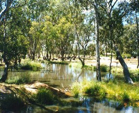 Wirraminna Environmental Education Centre - Sunshine Coast Guide 2