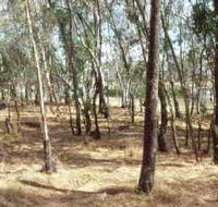 Chiltern-Mt Pilot National Park - Sunshine Coast Guide