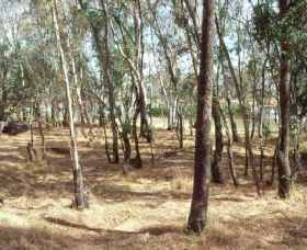 Chiltern-Mt Pilot National Park - Sunshine Coast Guide 0