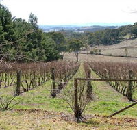 Habitat Vineyard - Sunshine Coast Guide