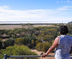 Lake Grace Lookout - Sunshine Coast Guide 0
