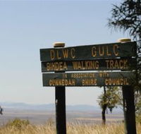 Bindea Walking Track - Sunshine Coast Guide