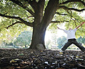 Albury Botanic Gardens - Sunshine Coast Guide 1