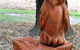 Albury Botanic Gardens - thumb 7