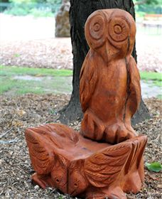 Albury Botanic Gardens - Sunshine Coast Guide 7