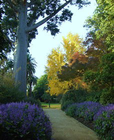 Albury Botanic Gardens - Sunshine Coast Guide 4