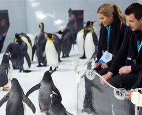 SEA LIFE Melbourne Aquarium - Sunshine Coast Guide 2