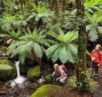 Baw Baw National Park - Sunshine Coast Guide